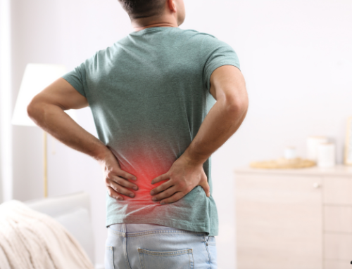 What is the Source of Chronic Low Back Pain and How Chiropractic Care Can Help